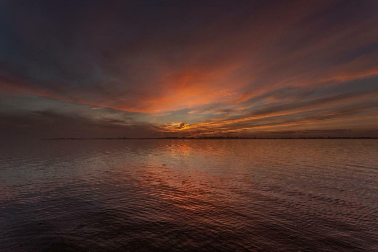Casa Dos Flamingos Villa Murtosa Bagian luar foto