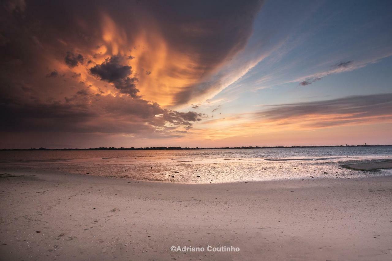 Casa Dos Flamingos Villa Murtosa Bagian luar foto